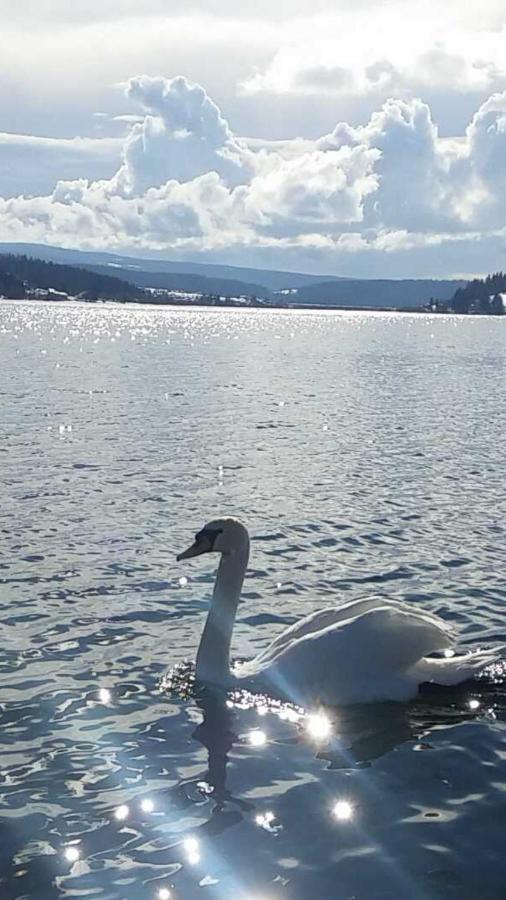 L'Ecrin Du Lac Saint-Point-Lac Zewnętrze zdjęcie