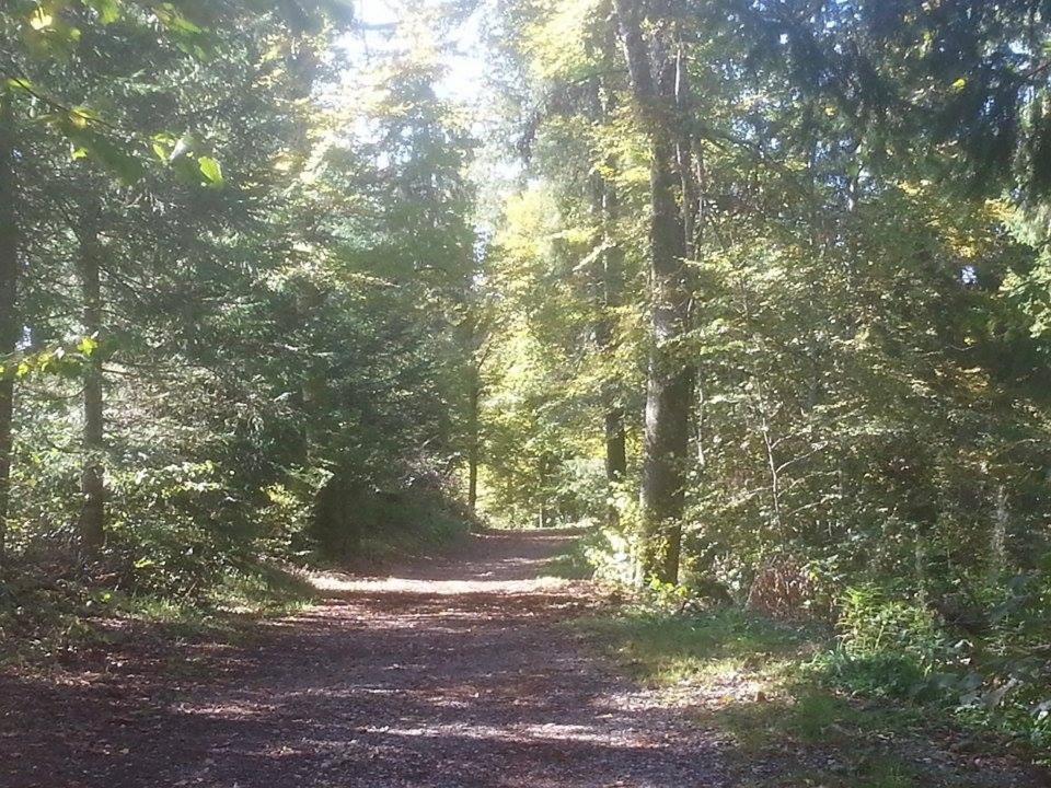 L'Ecrin Du Lac Saint-Point-Lac Zewnętrze zdjęcie